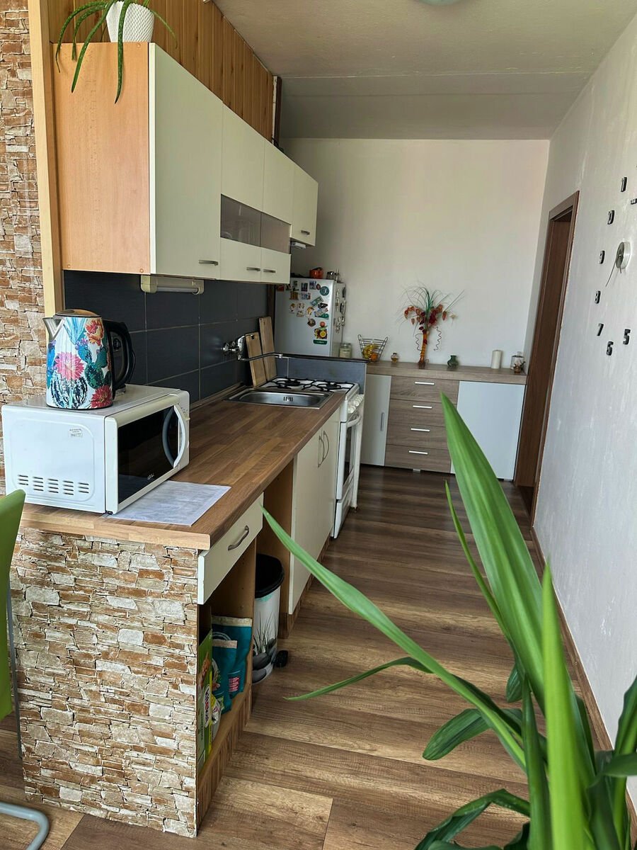 Byt 1+1, 42,75 m² | Vodňanská, České Budějovice